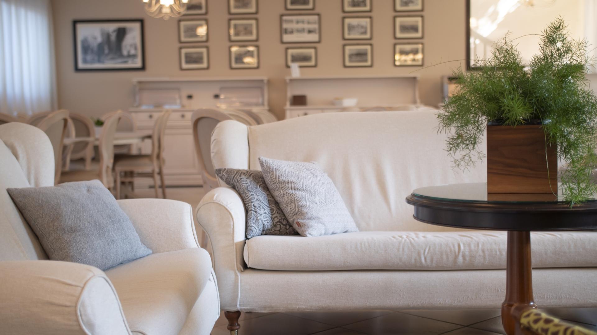 Elegant living room with white sofas and decorative plant on coffee table.